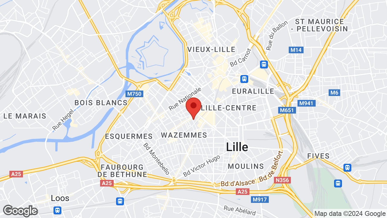 Google map