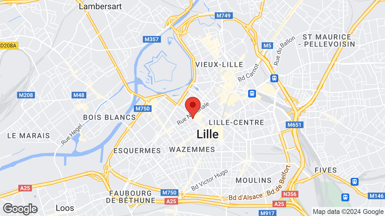 Google map