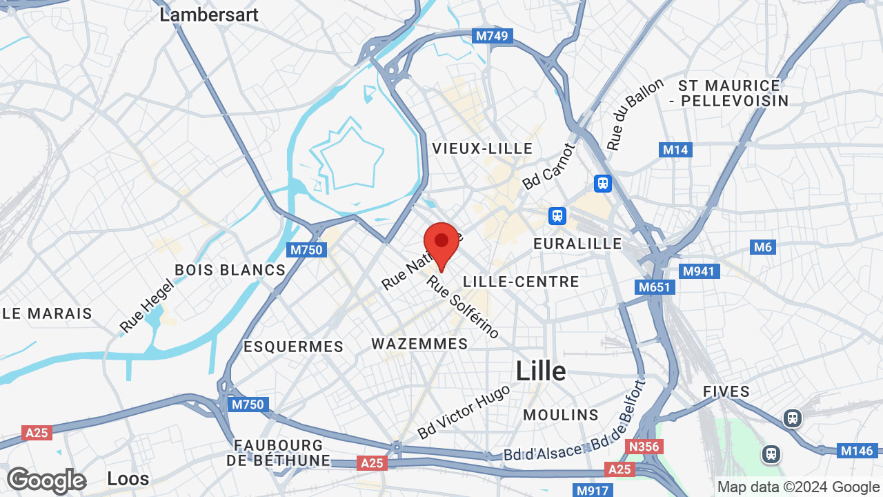 Google map