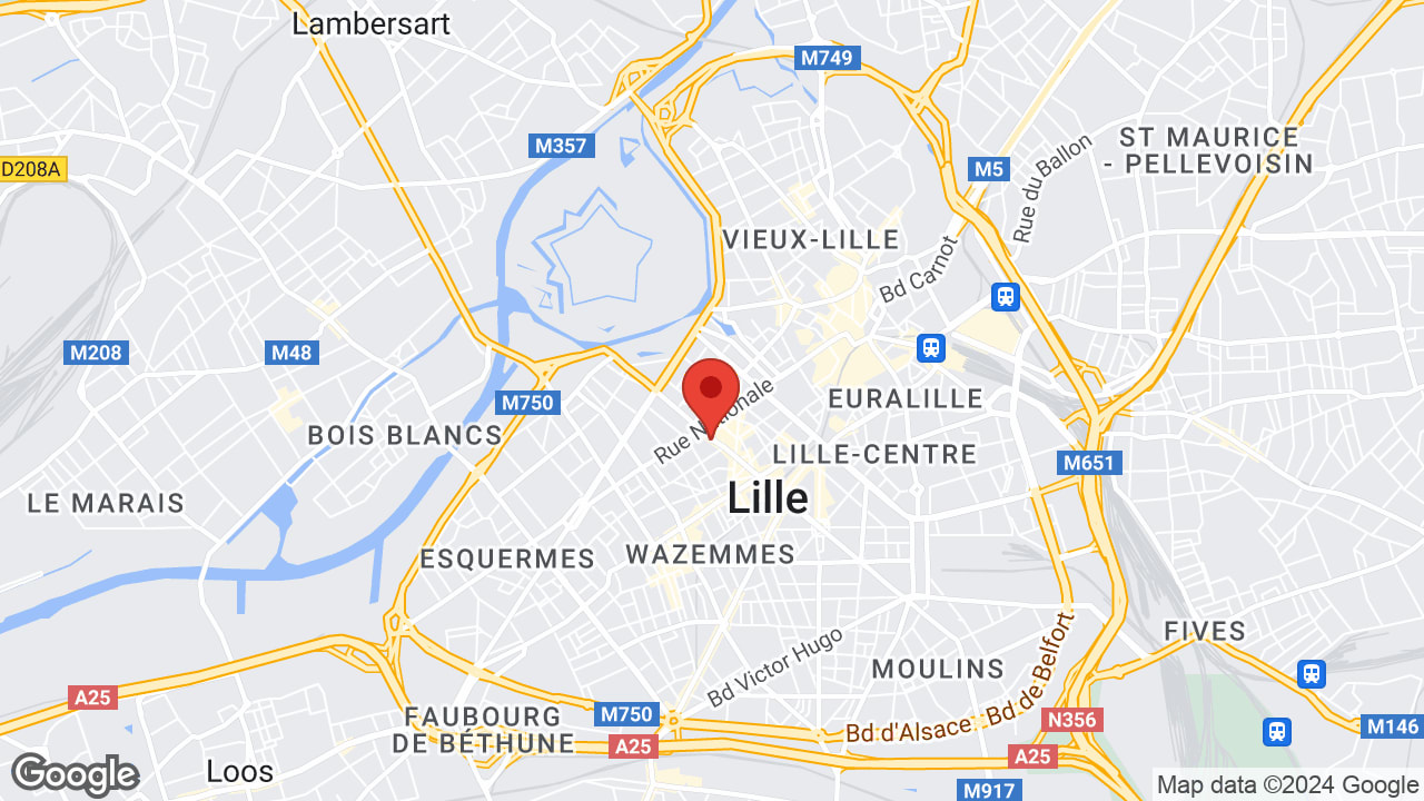 Google map