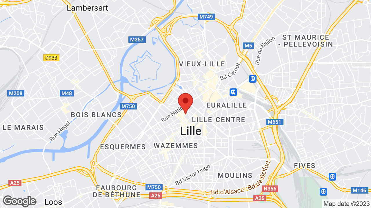 Google map