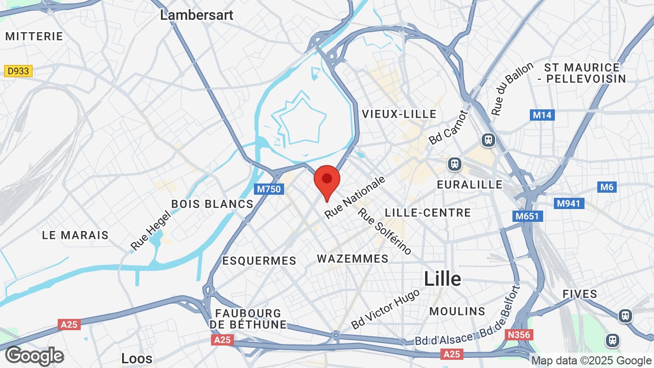 Google map