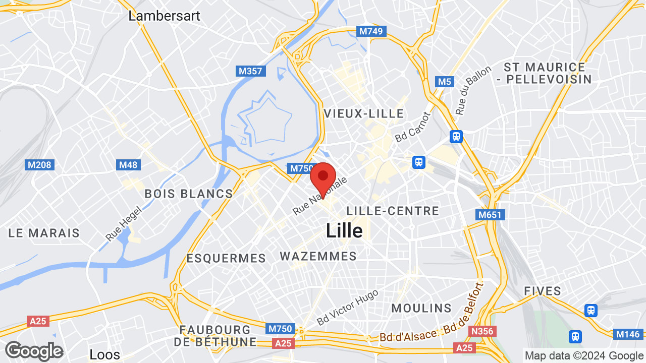 Google map