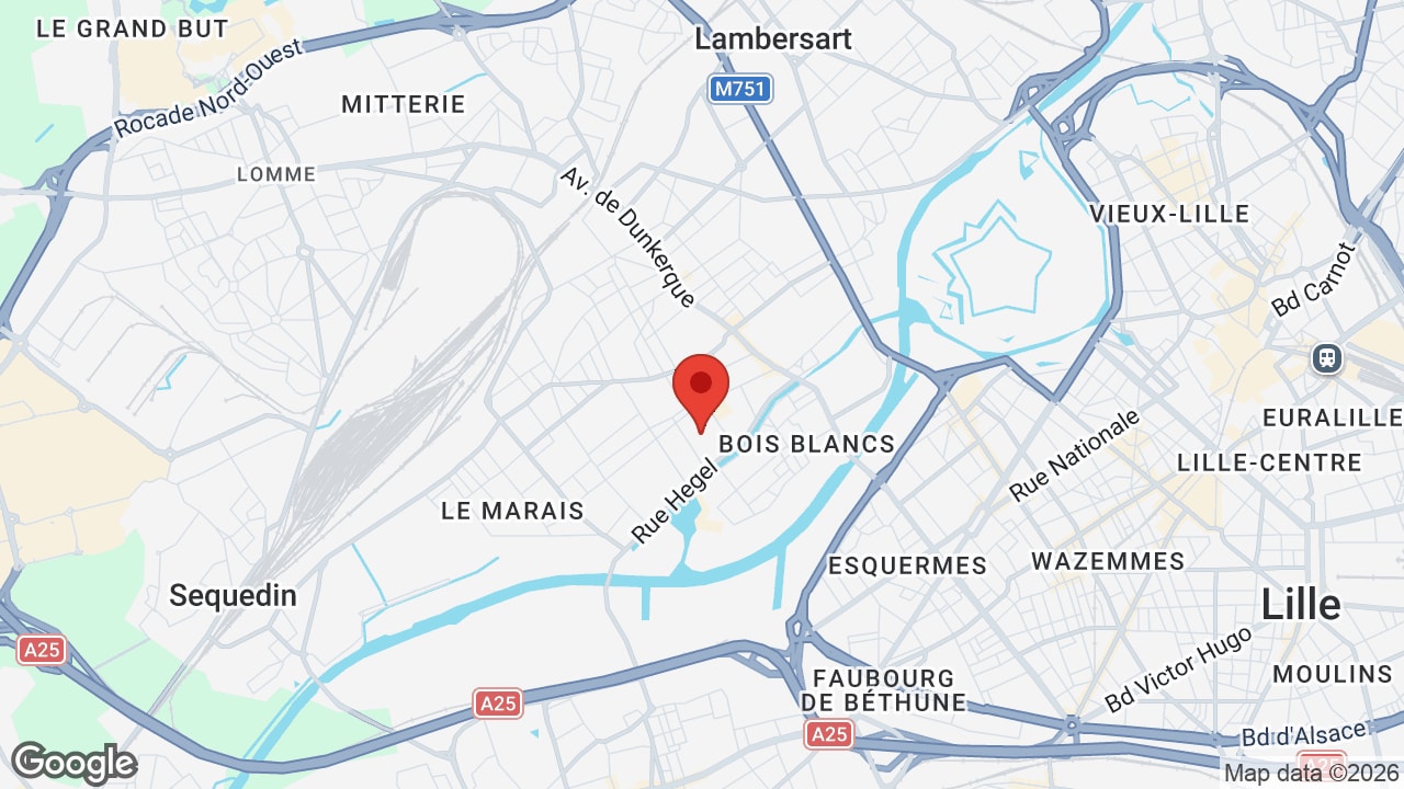Google map
