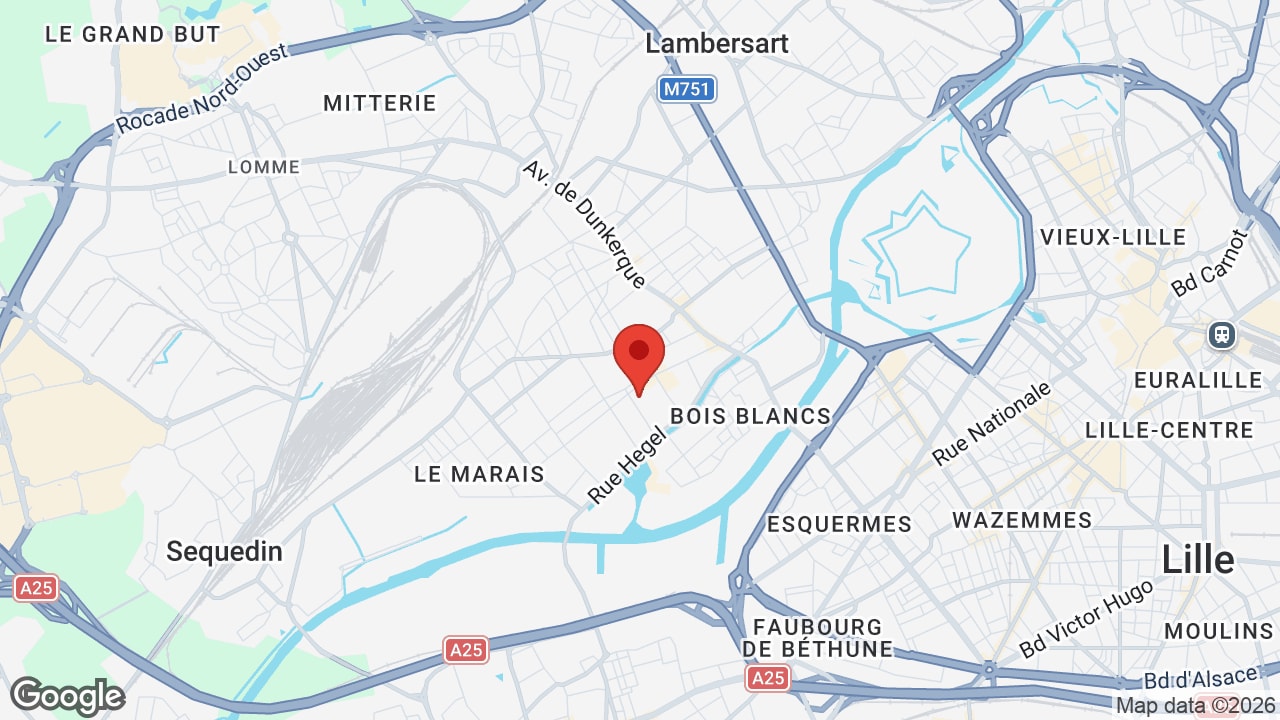 Google map