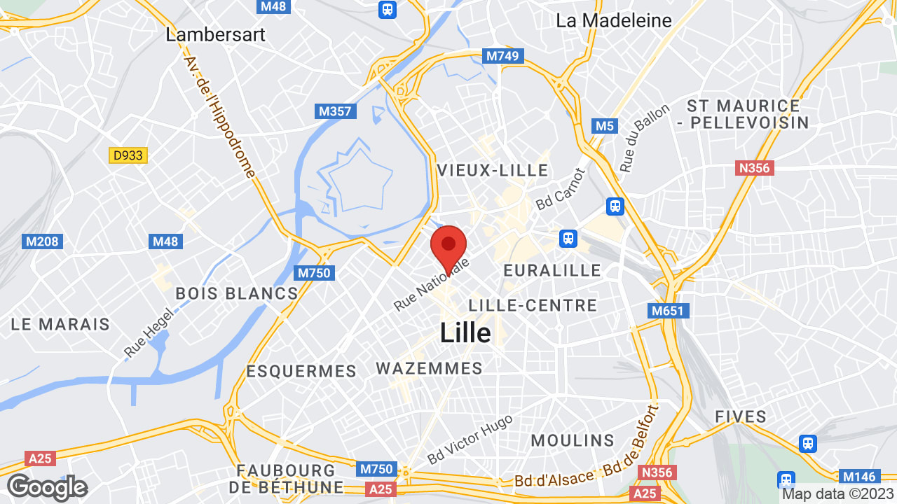 Google map