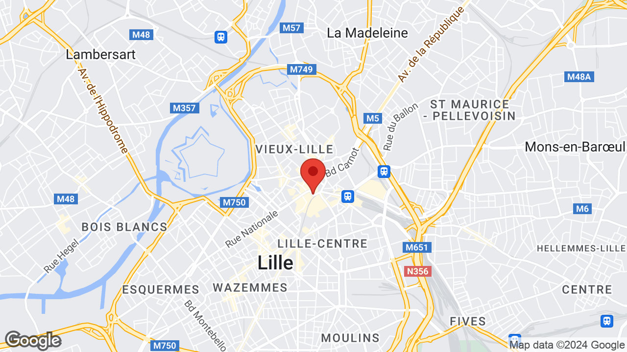 Google map