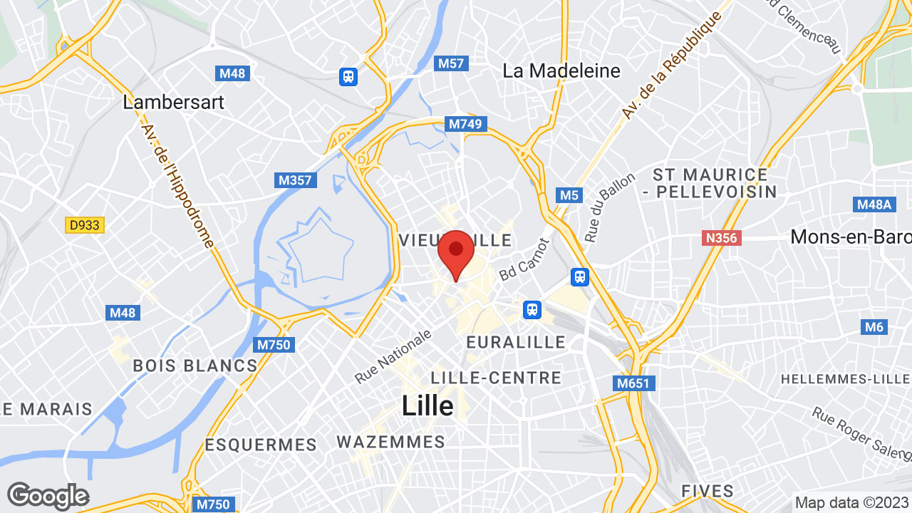 Google map