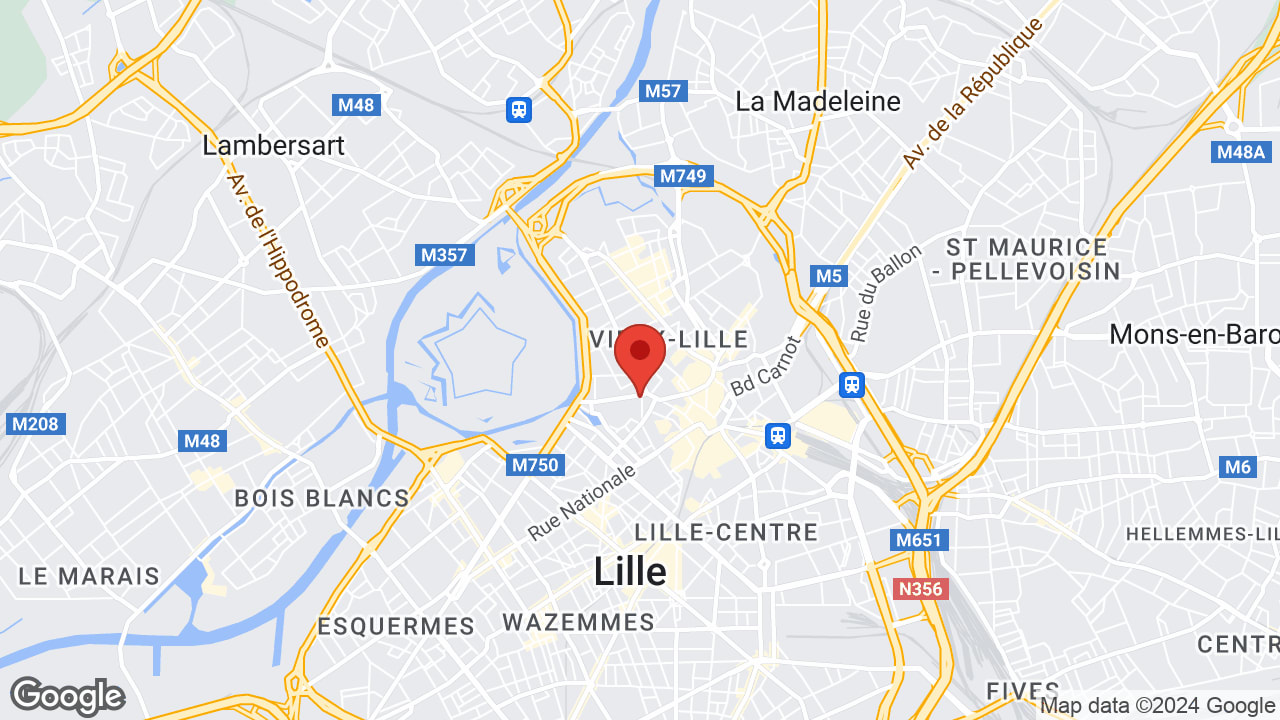 Google map