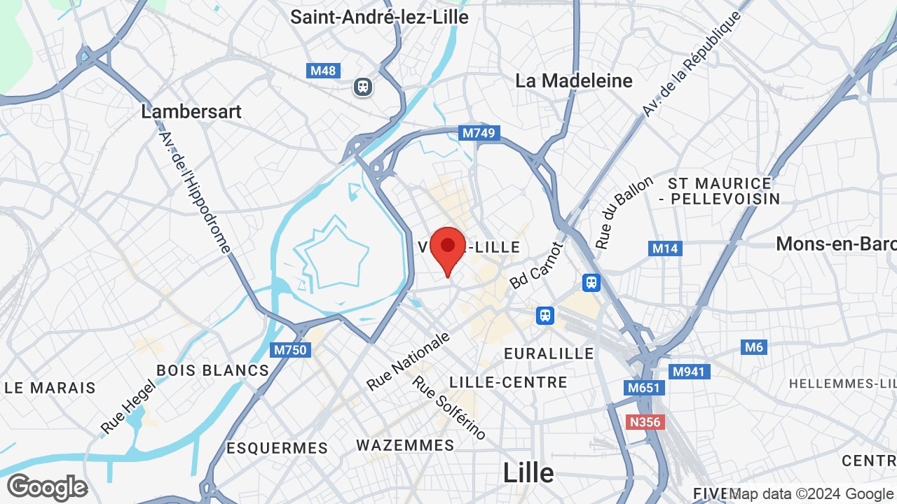 Google map