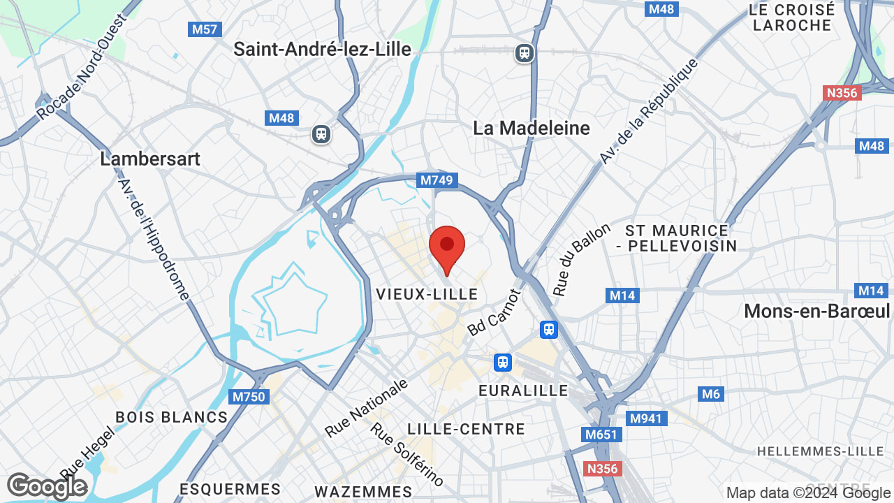Google map