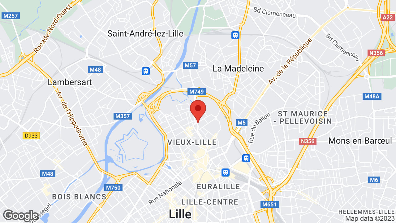 Google map