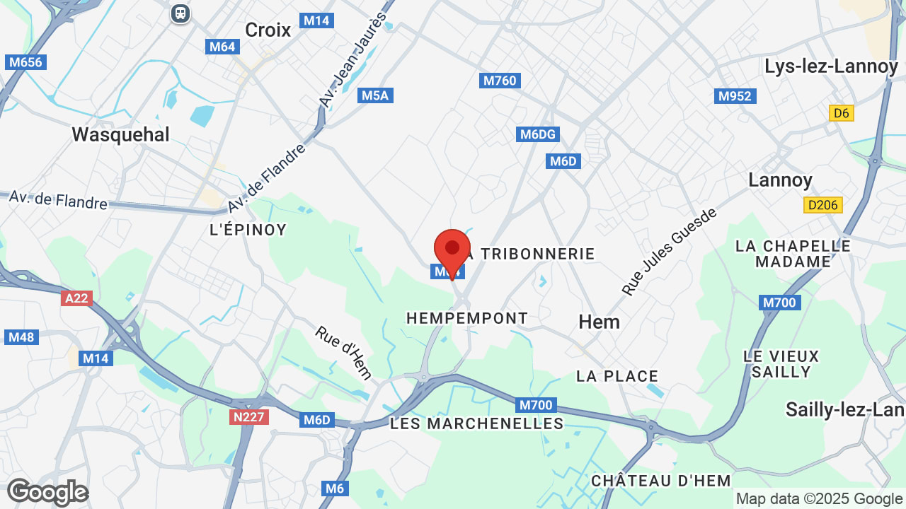 Google map