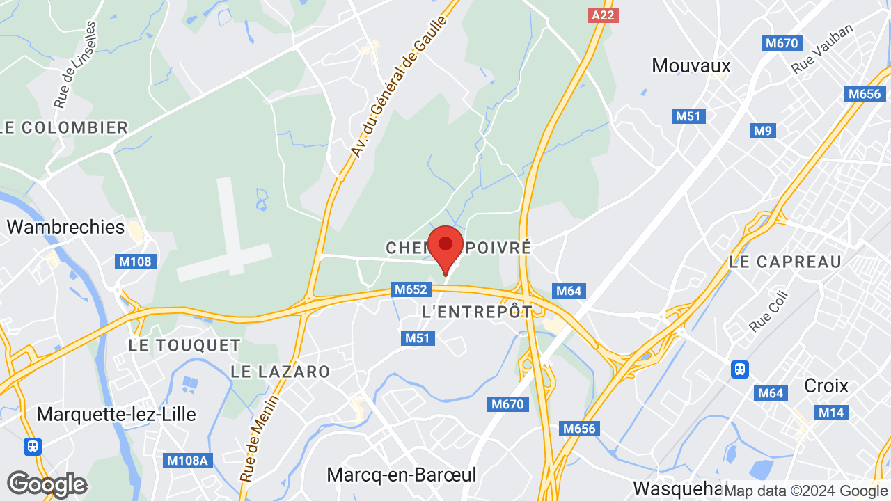 Google map