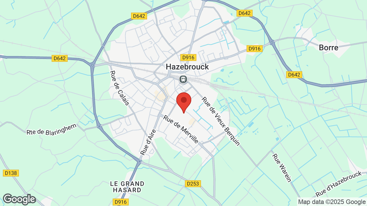 Google map
