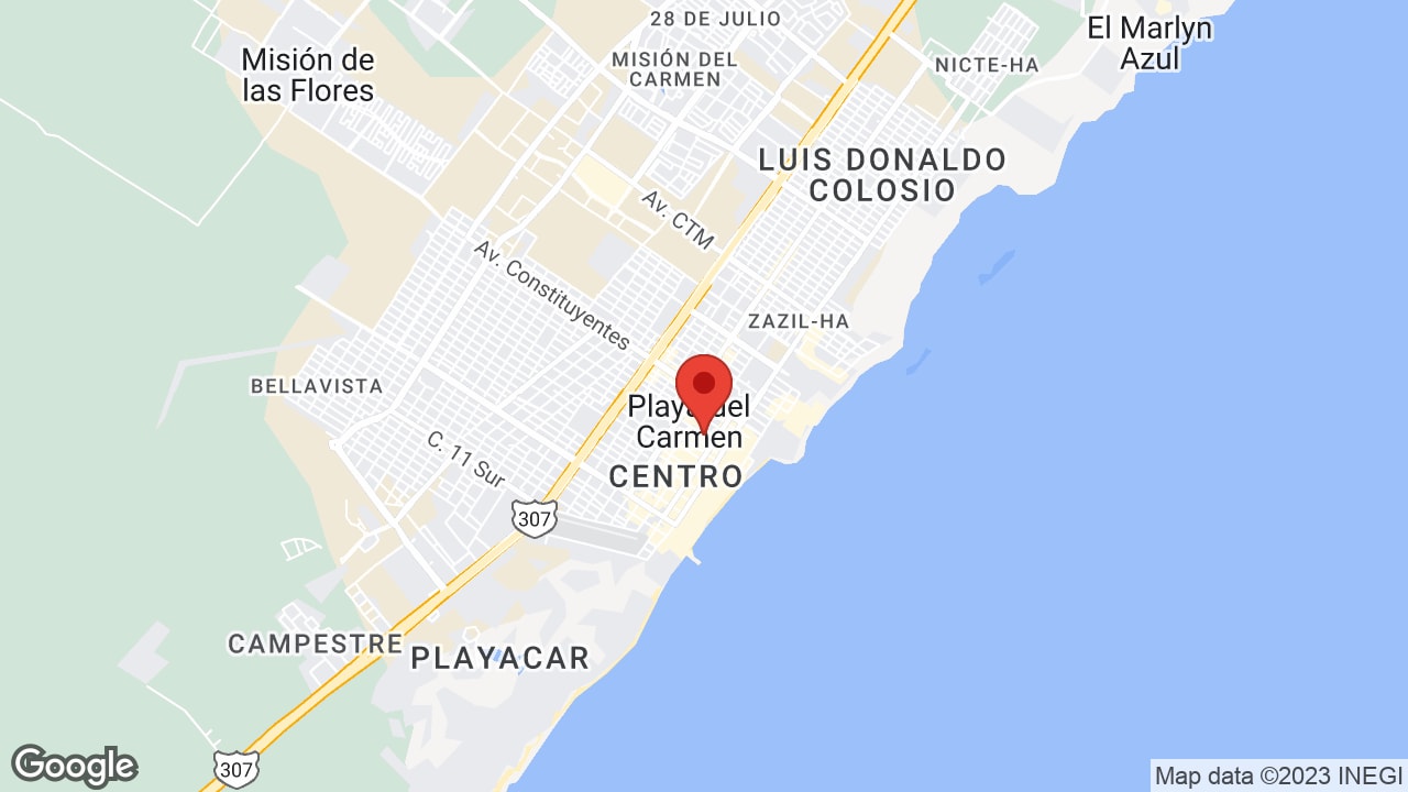 Google map