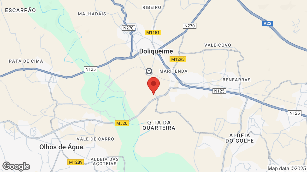 Google map