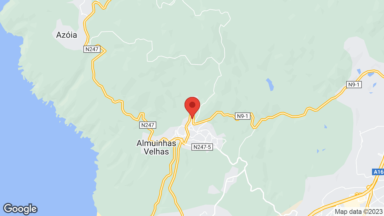Google map
