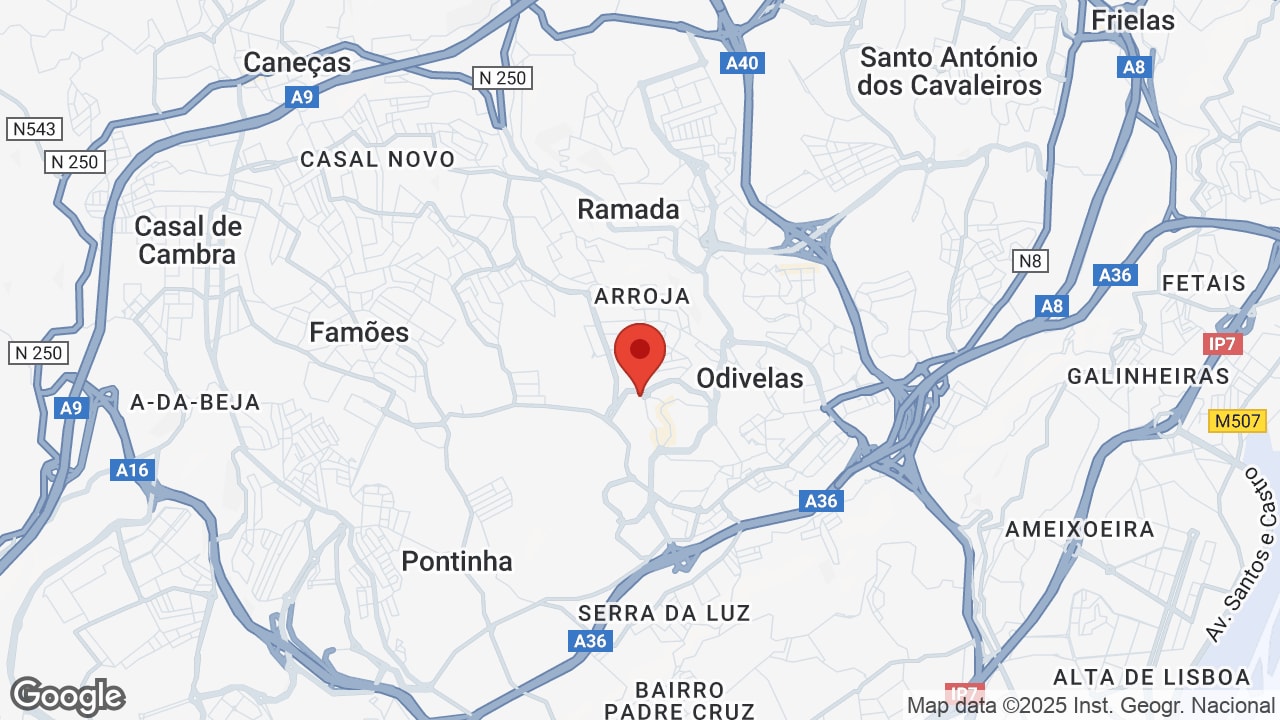 Google map