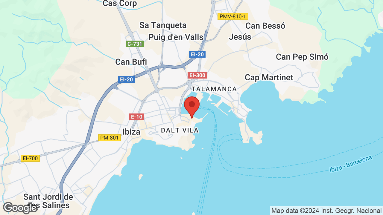 Google map