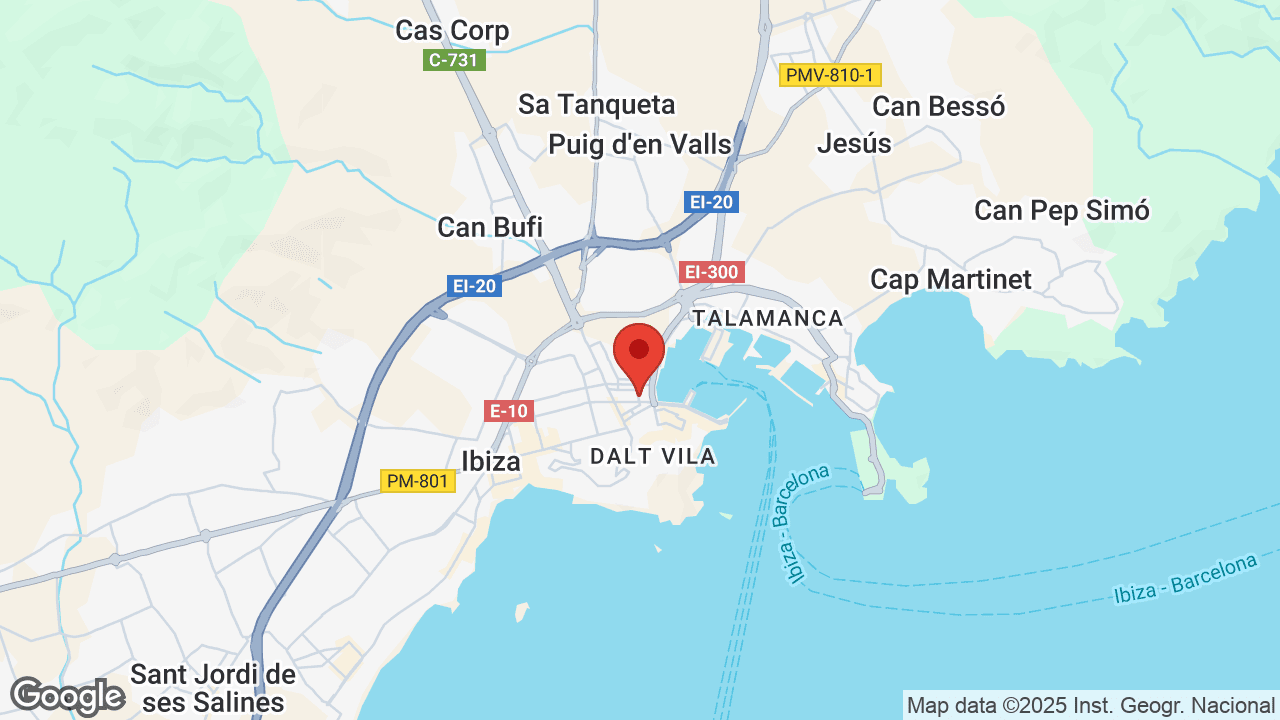 Google map