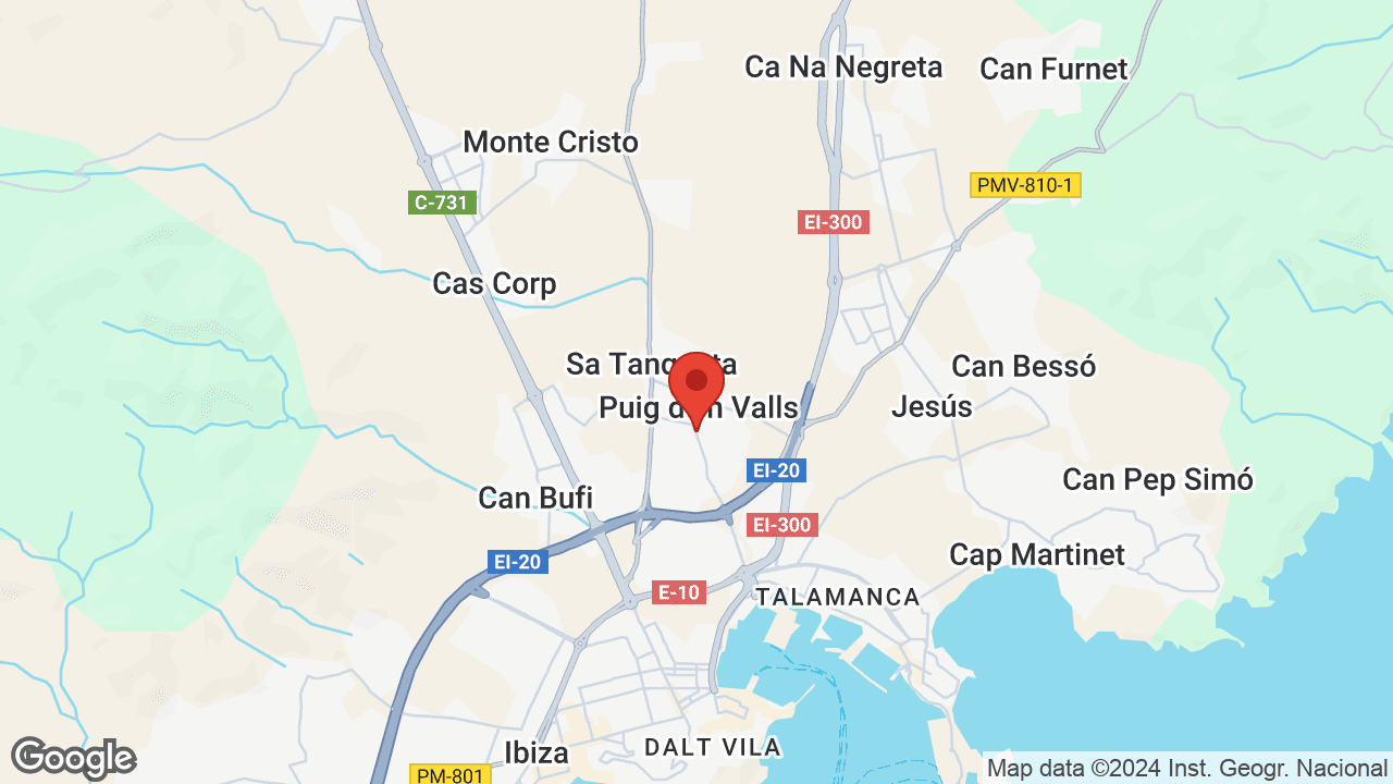 Google map