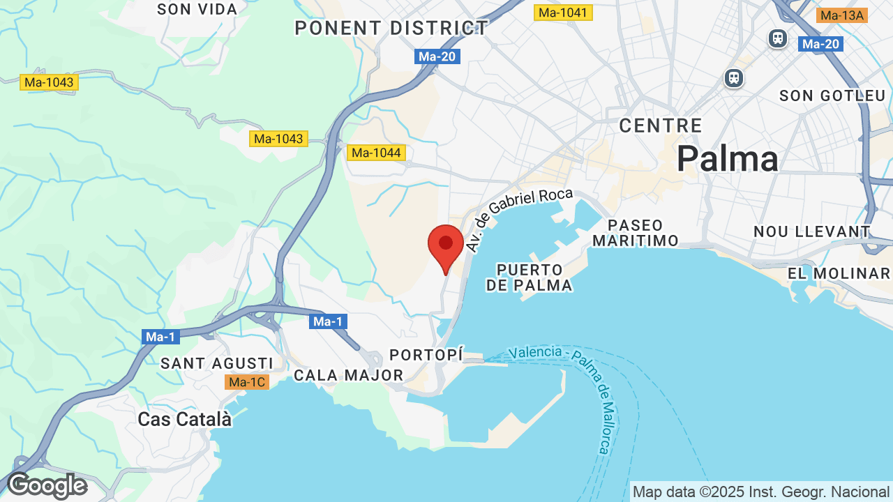 Google map