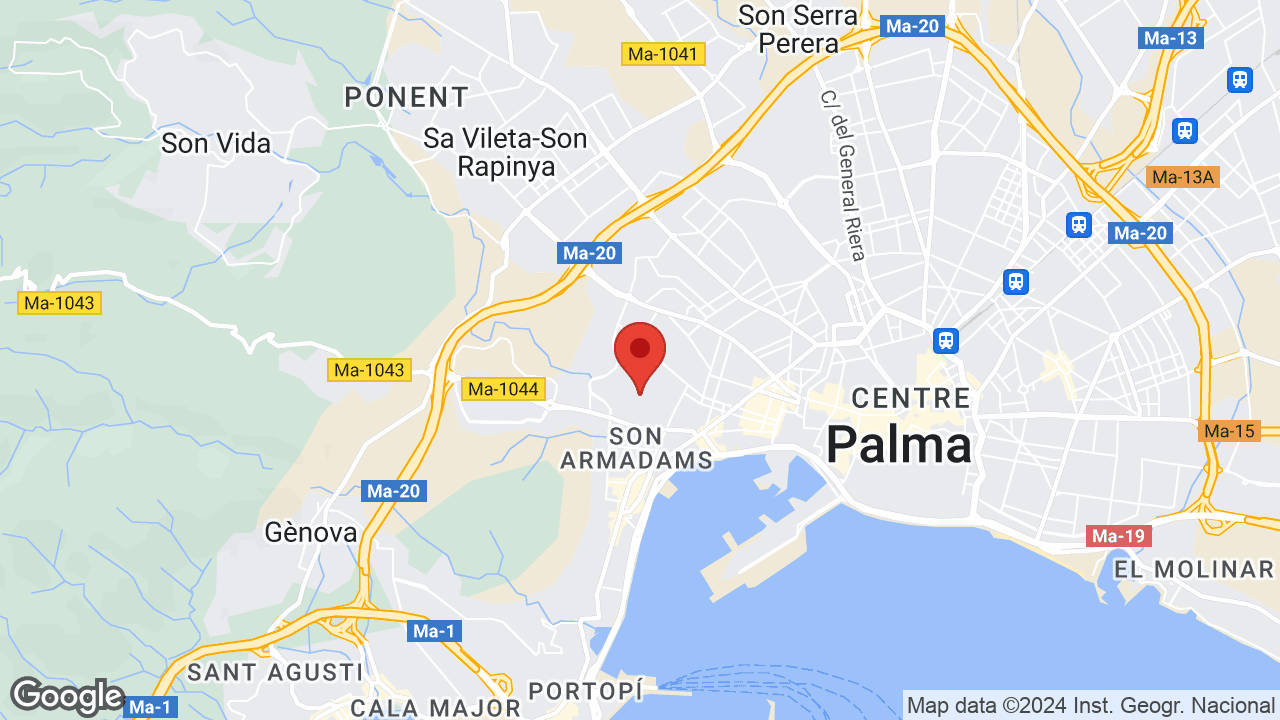 Google map