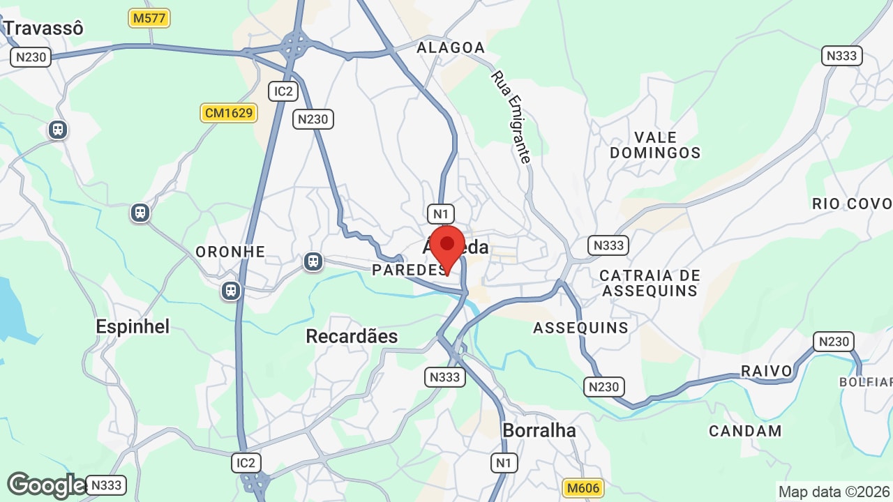 Google map