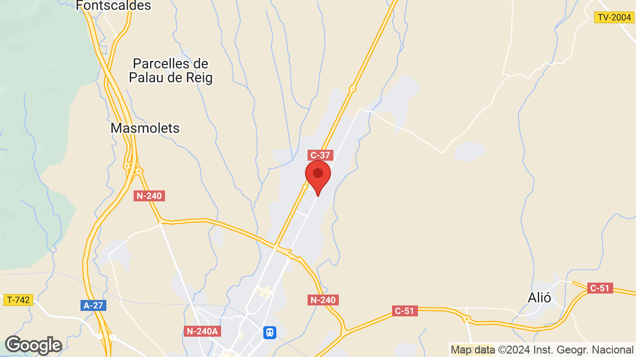Google map