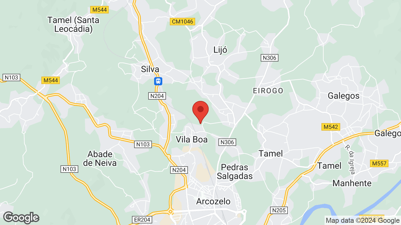 Google map