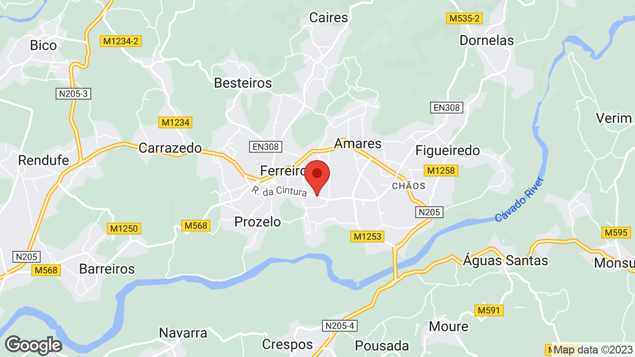 Google map
