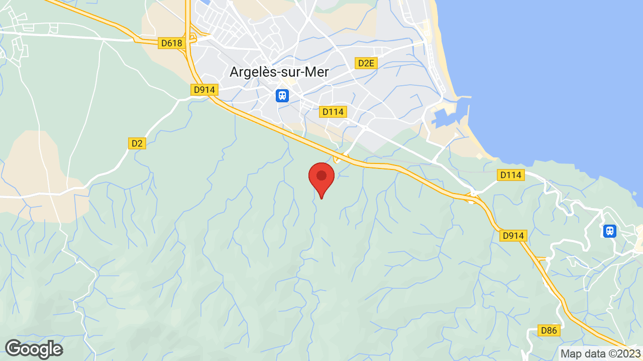 Google map
