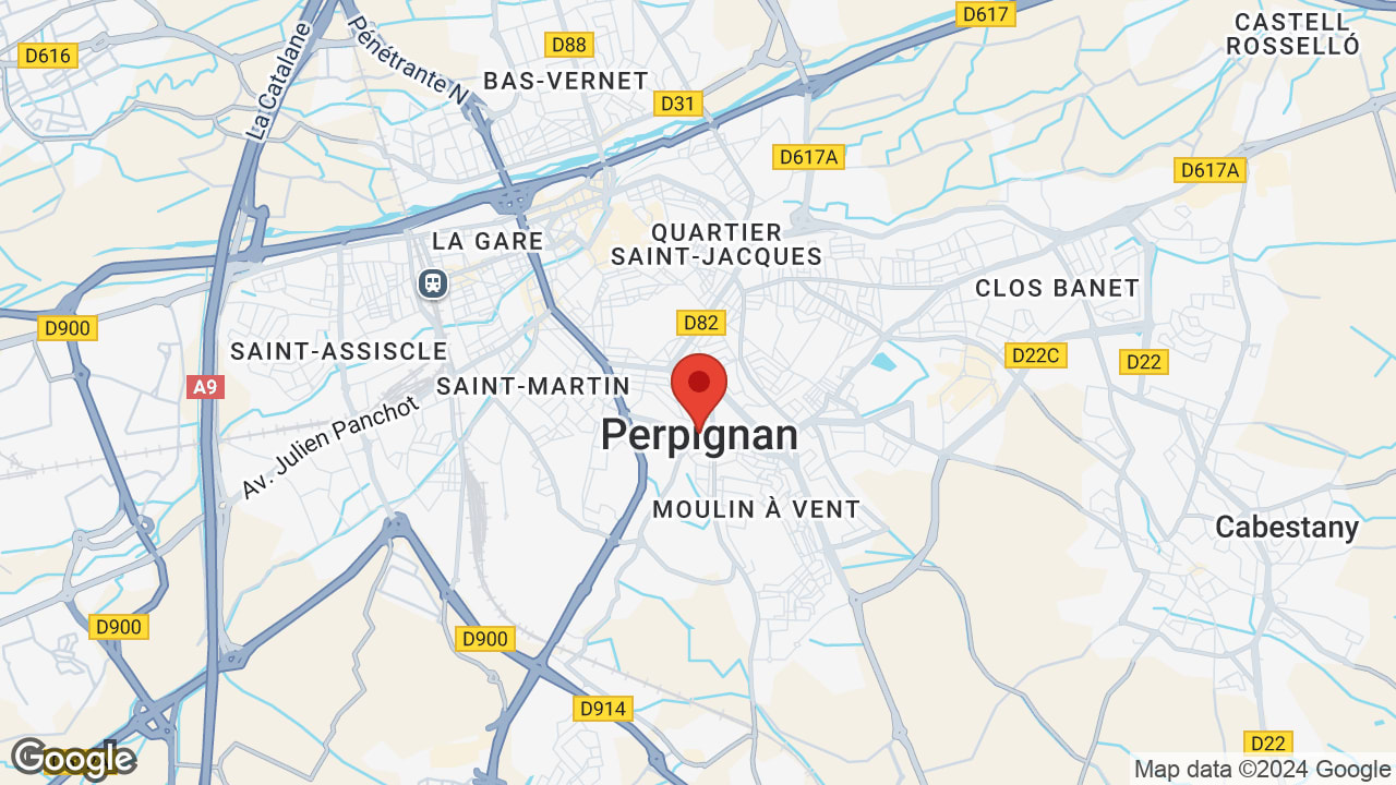 Google map