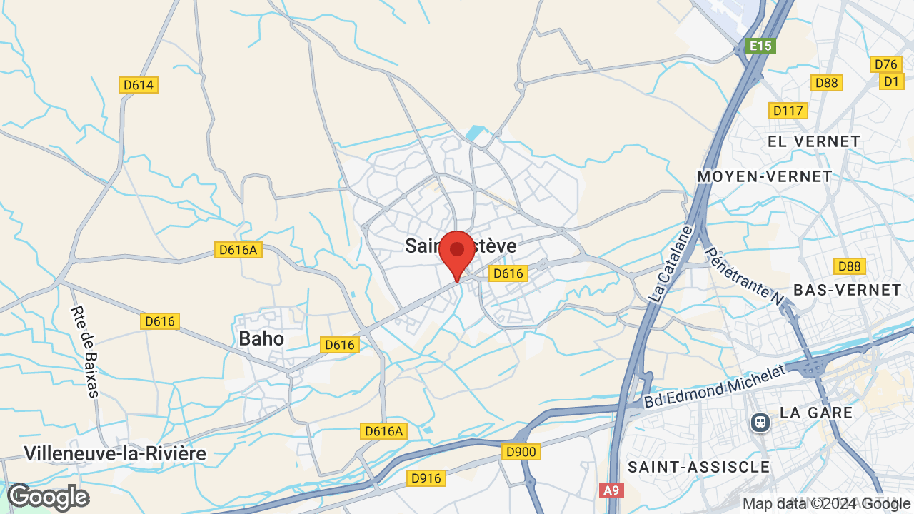 Google map