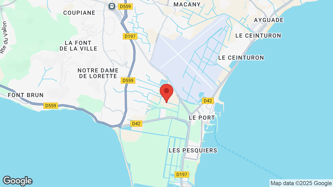 Google map