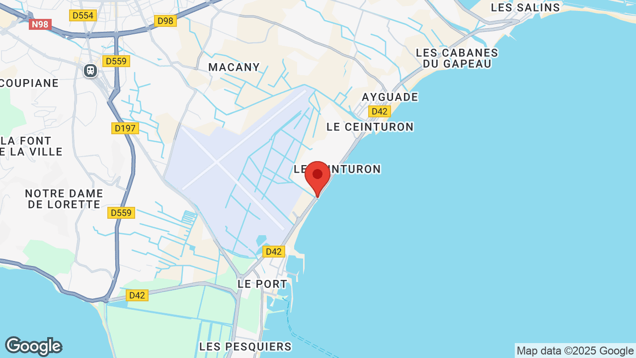 Google map