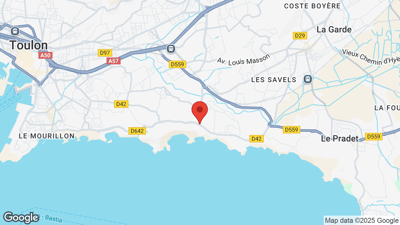 Google map