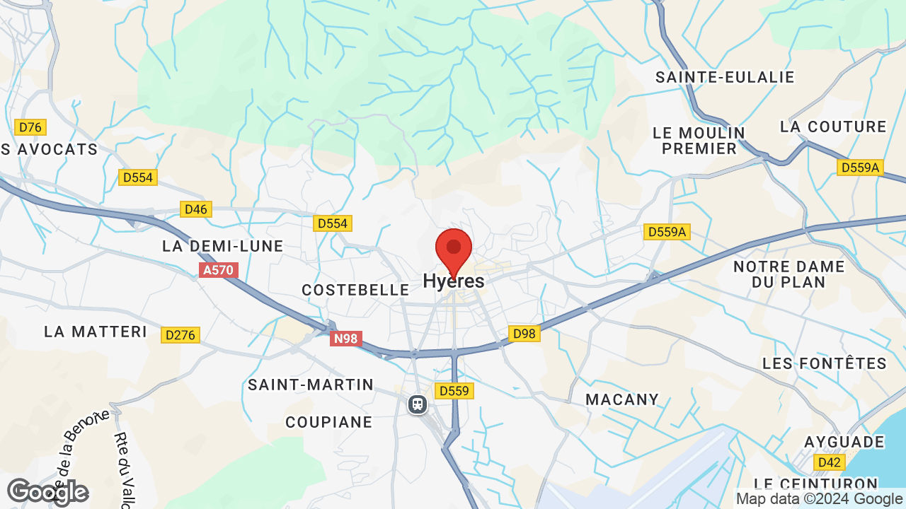 Google map