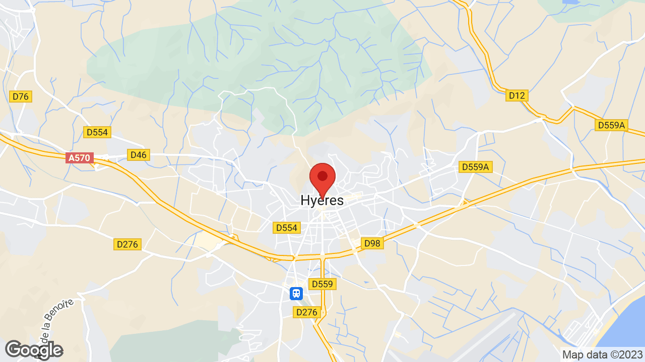 Google map