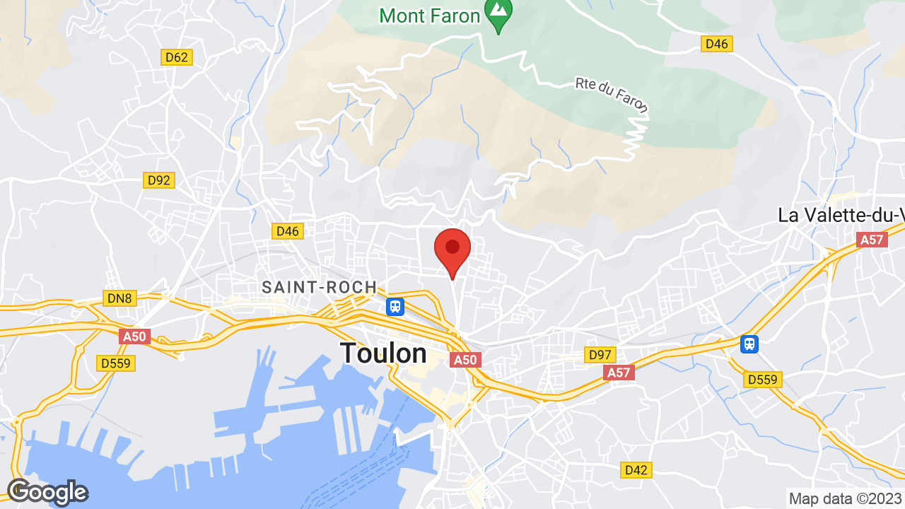 Google map