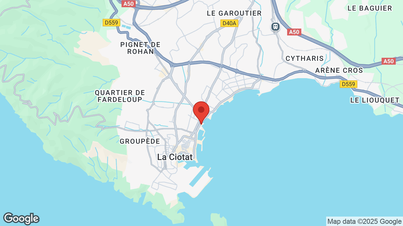 Google map