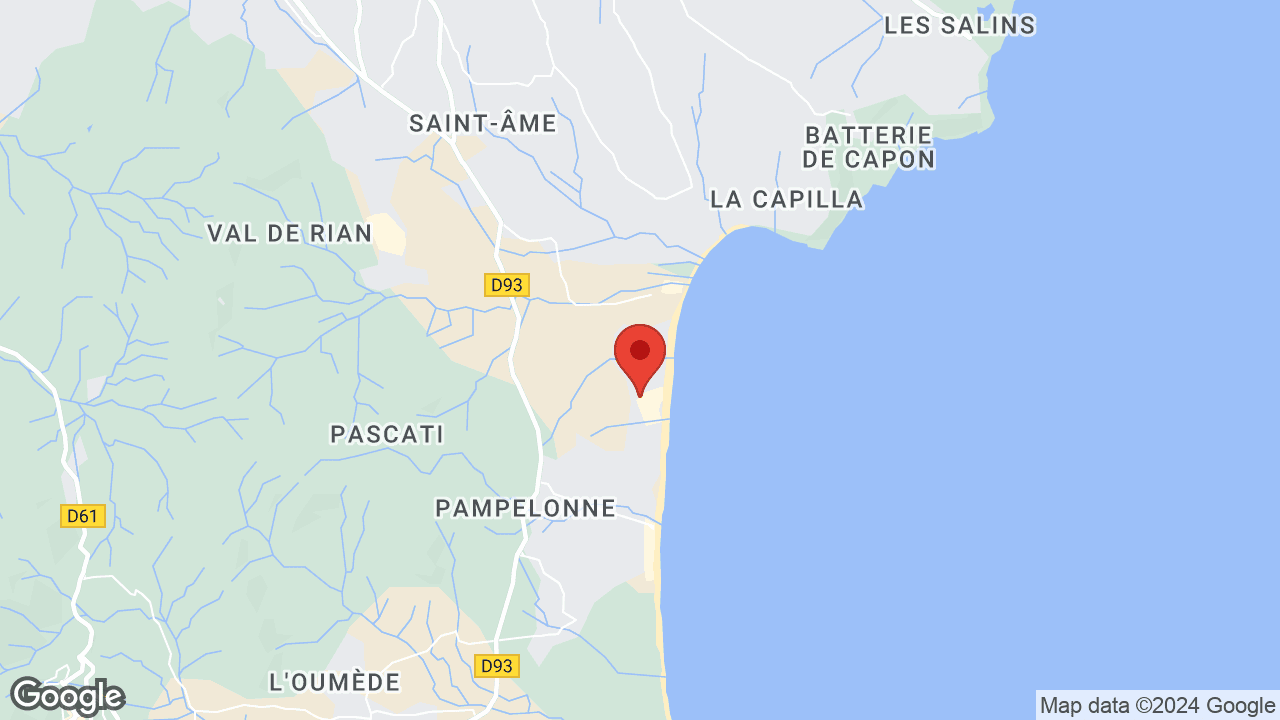 Google map