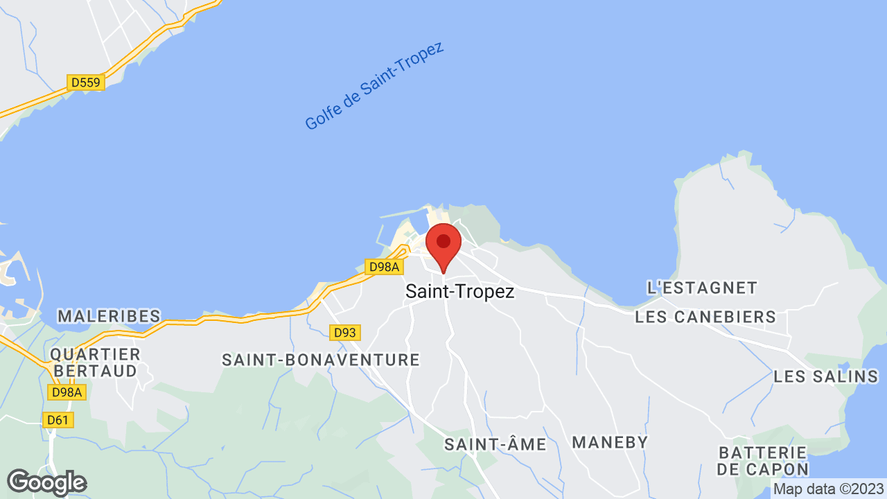 Google map