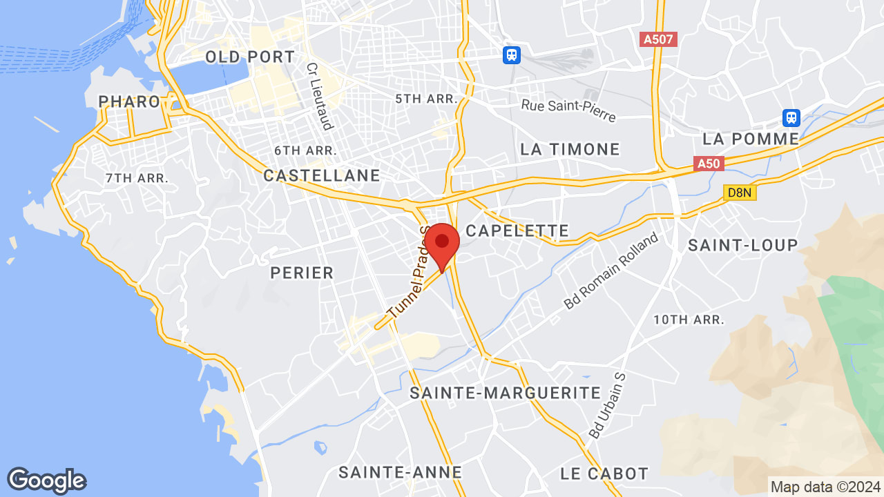 Google map