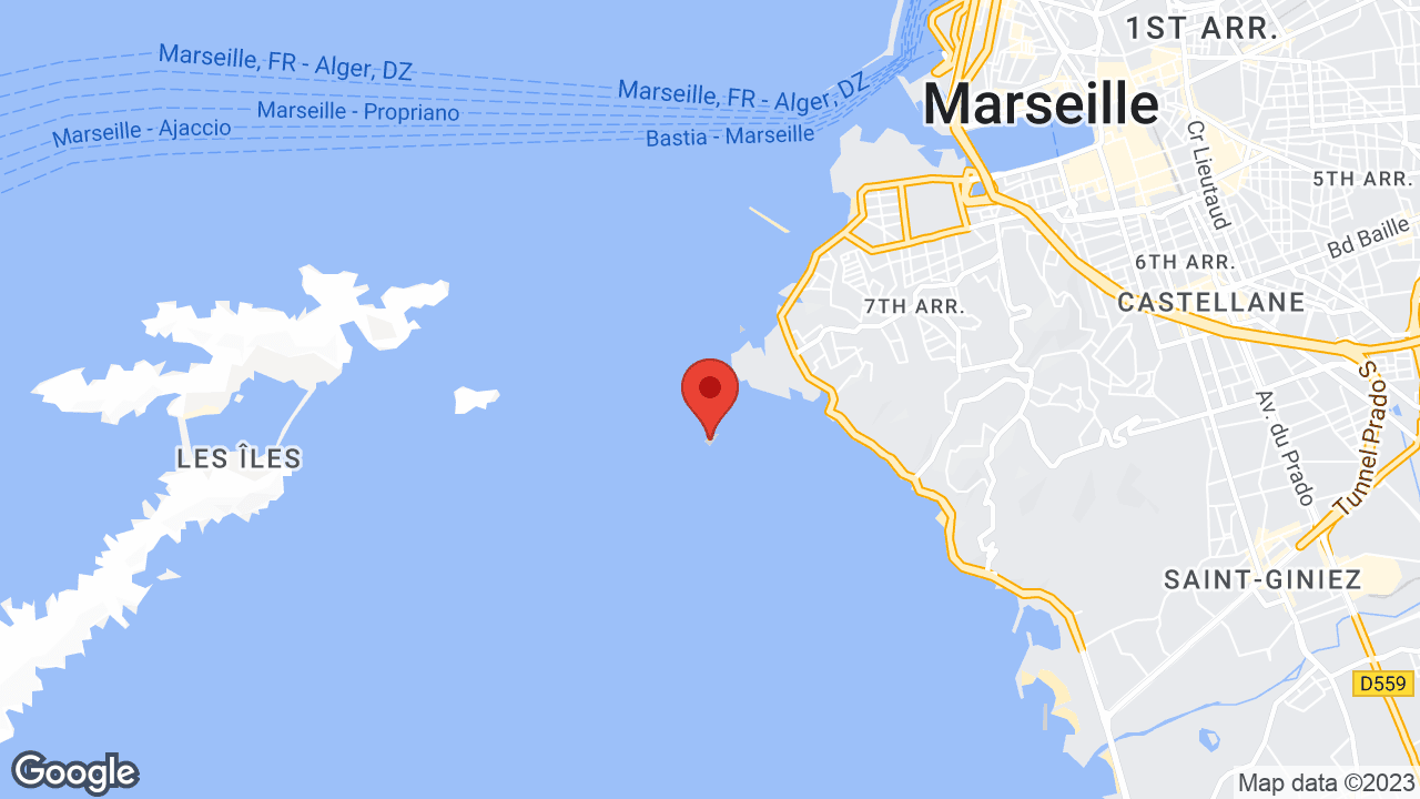 Google map