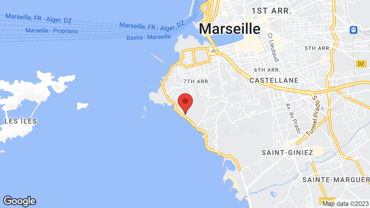 Google map