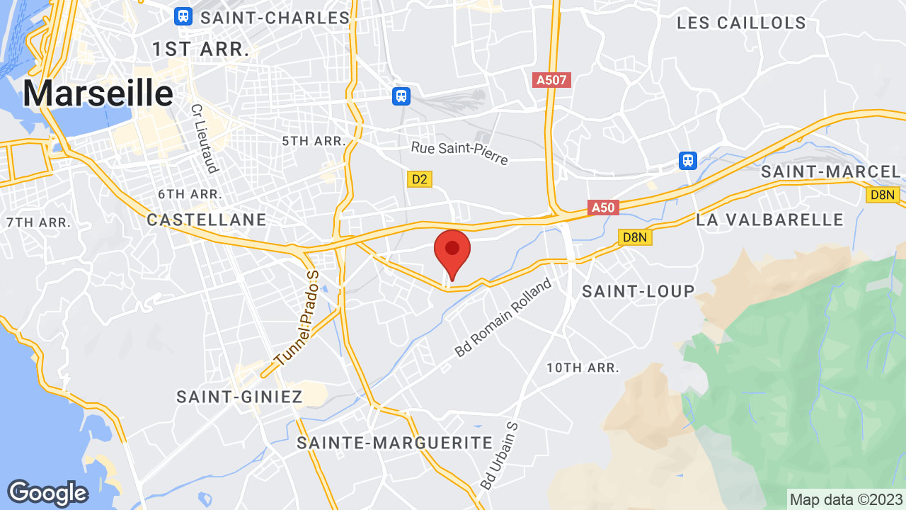 Google map