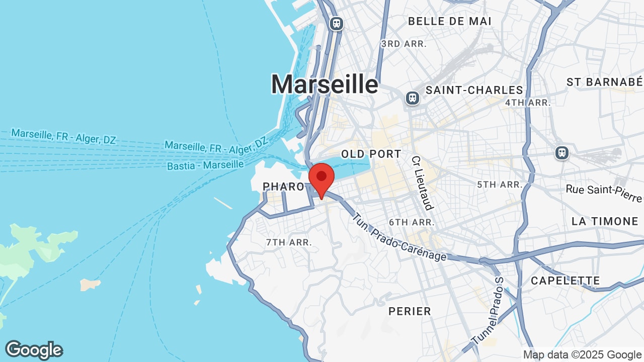 Google map