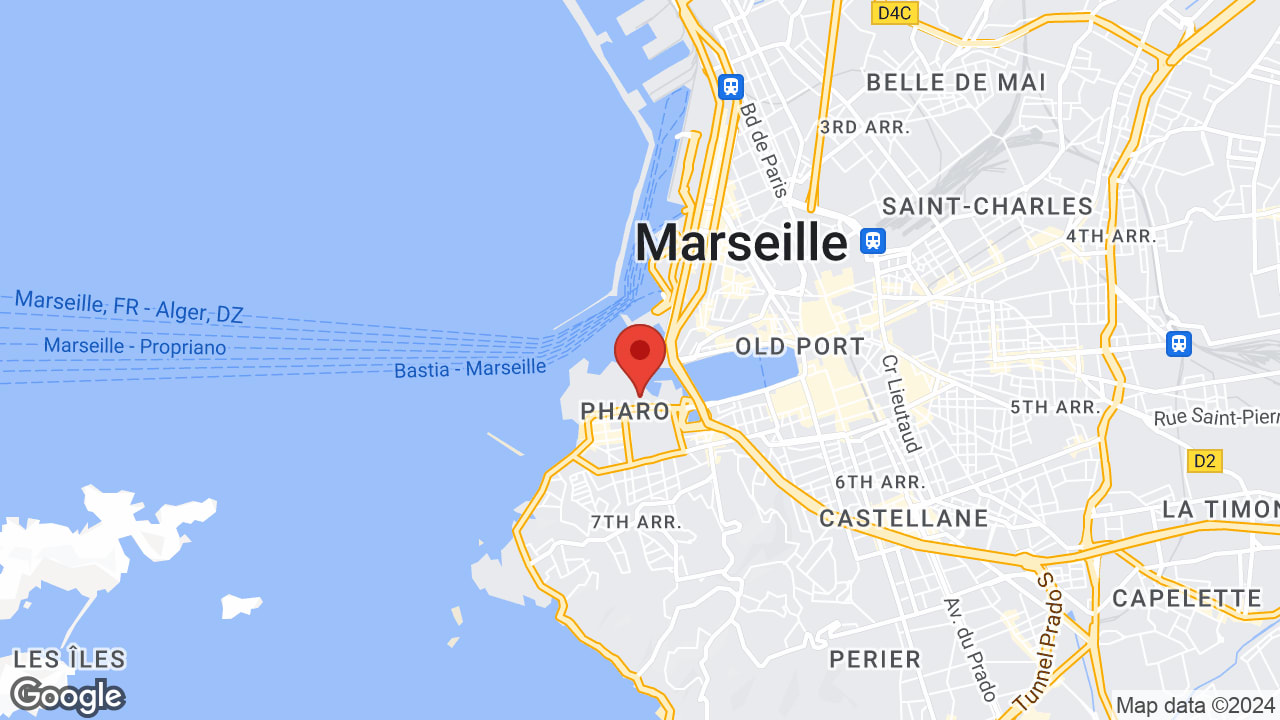 Google map